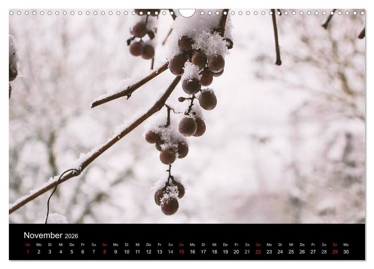 Produktbild: Meine Heimat Westerwald (Wandkalender 2026 DIN A3 quer), CALVENDO Monatskalender