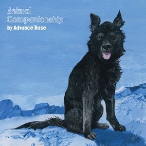 Produktbild: ANIMAL COMPANIONSHIP (Clear Vinyl)