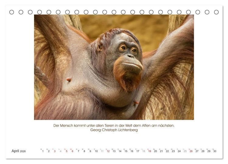 Produktbild: Der Tierkalender mit Zitaten, Weisheiten und Spr&uuml;chen (Tischkalender 2026 DIN A5 quer), CALVENDO Monatskalender