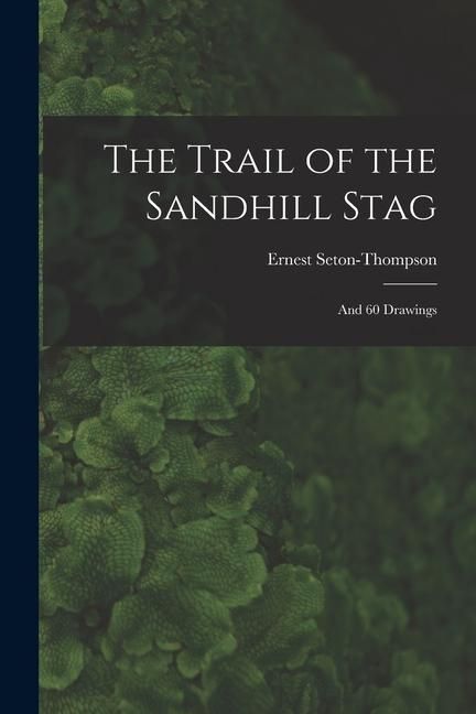 Produktbild: The Trail of the Sandhill Stag: And 60 Drawings