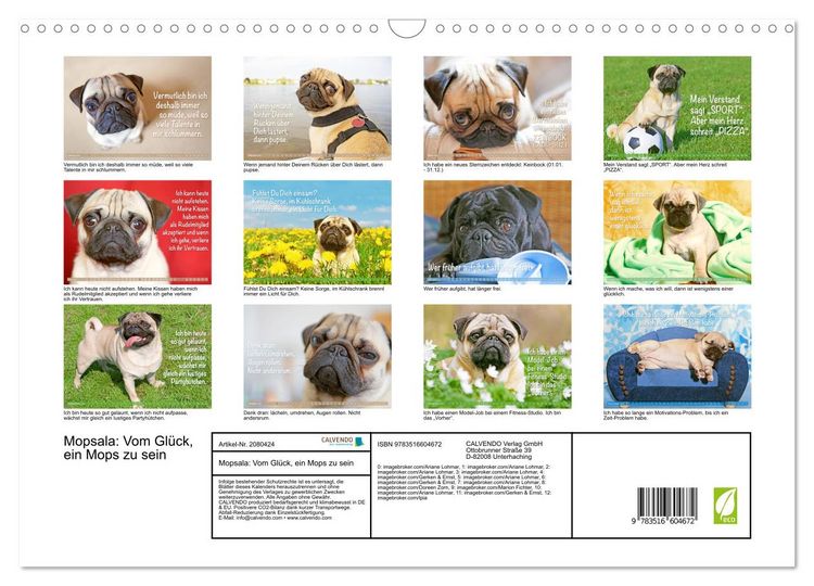Produktbild: Mopsala: Vom Gl&uuml;ck, ein Mops zu sein (Wandkalender 2026 DIN A3 quer), CALVENDO Monatskalender