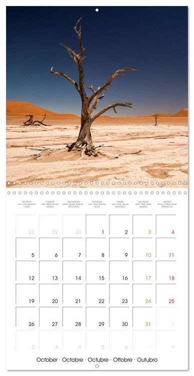 Produktbild: Namibian desert (Wall Calendar 2026 12 &times; 12 Inch) CALVENDO 12 Month Wall Calendar