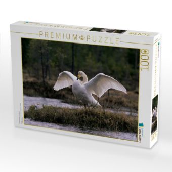 Produktbild: CALVENDO Puzzle Singschw&auml;ne. Finnland | 1000 Teile Lege-Gr&ouml;&szlig;e 64x48cm Foto-Puzzle f&uuml;r gl&uuml;ckliche Stunden