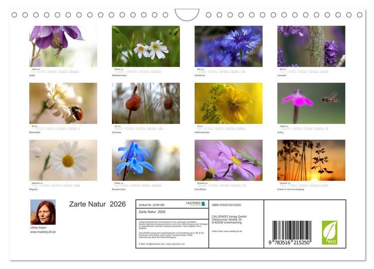 Produktbild: Zarte Natur 2026 (Wandkalender 2026 DIN A4 quer), CALVENDO Monatskalender