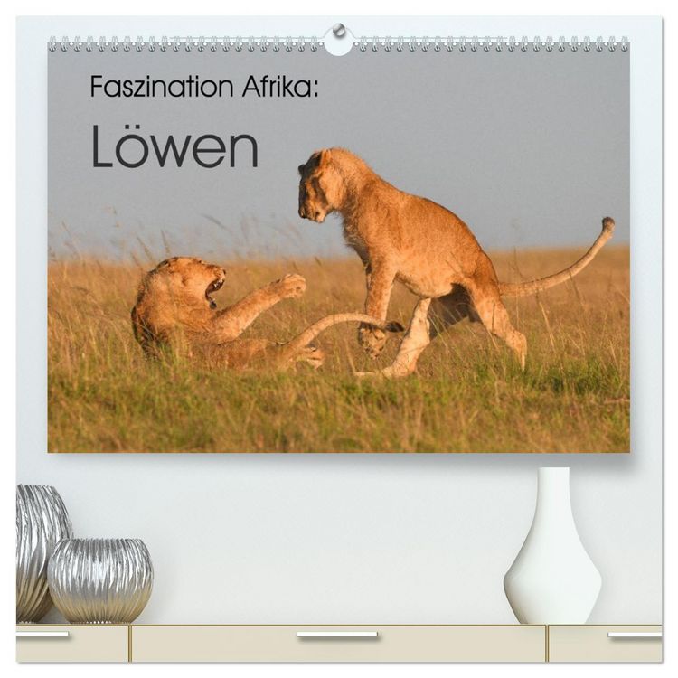 Produktbild: Faszination Afrika: L&ouml;wen (hochwertiger Premium Wandkalender 2026 DIN A2 quer), Kunstdruck in Hochglanz