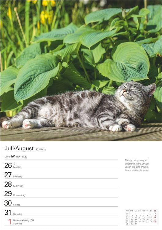 Produktbild: Katzen Wochenplaner 2027 - 53 faszinierende Fotografien