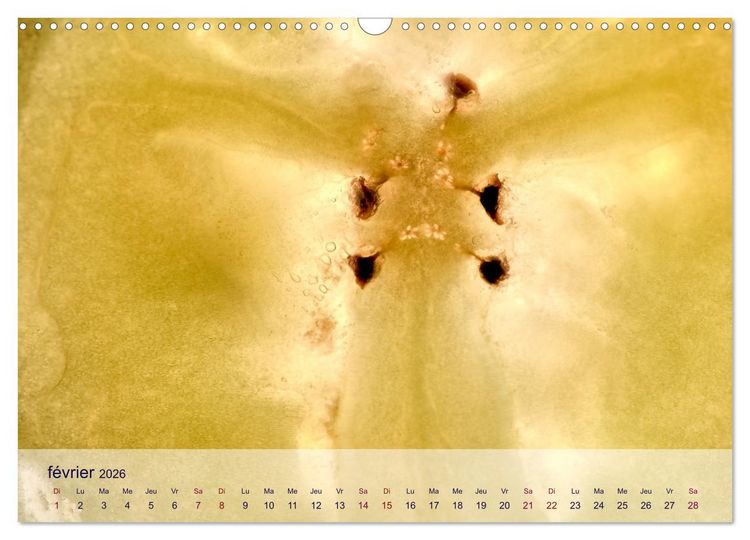 Produktbild: C&oelig;ur de fruits c&oelig;ur de l&eacute;gumes (Calendrier mural 2026 DIN A3 vertical), CALVENDO calendrier mensuel