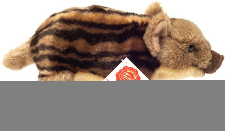 Wildschweinfrischling