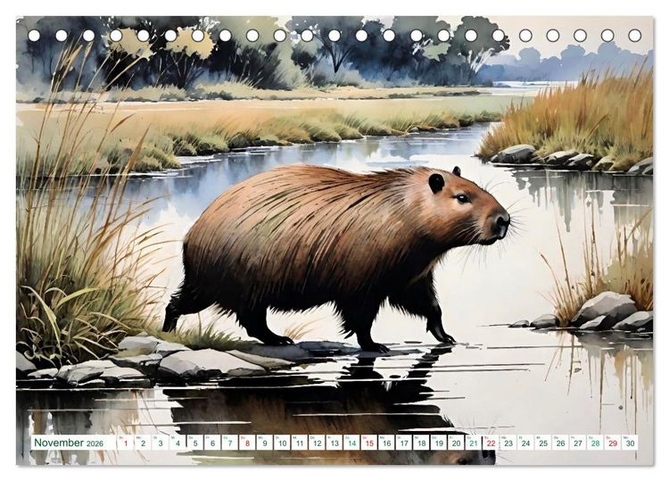 Produktbild: Das Capybara (Tischkalender 2026 DIN A5 quer), CALVENDO Monatskalender
