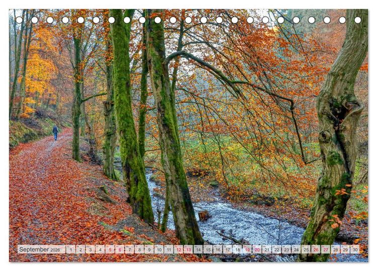 Produktbild: Idyllische Wanderwege im Bergischen Land (Tischkalender 2026 DIN A5 quer), CALVENDO Monatskalender