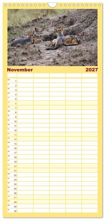 Produktbild: Familienplaner 2027 - Wildes Kinderzimmer - Tierkinder in Afrika mit 5 Spalten (Wandkalender, 21 x 45 cm) CALVENDO