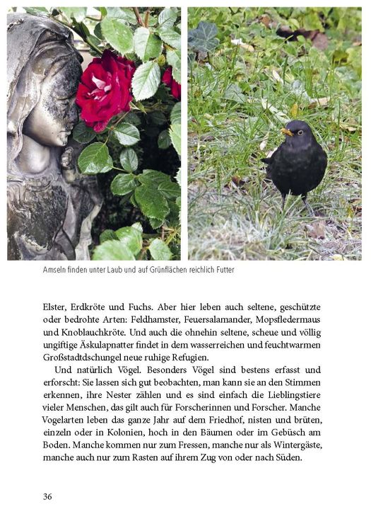 Produktbild: Der Friedhof lebt!