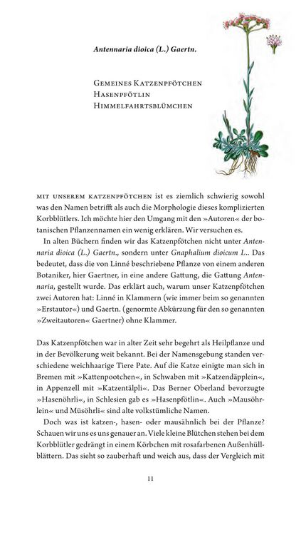 Produktbild: Jungfer im Gr&uuml;nen und Tausendg&uuml;ldenkraut