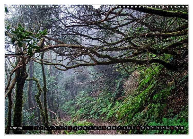 Produktbild: Teneriffas rauer Norden (Wandkalender 2026 DIN A3 quer), CALVENDO Monatskalender