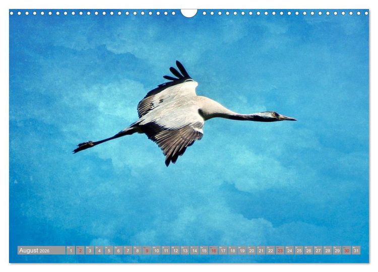 Produktbild: KranichRomantik (Wandkalender 2026 DIN A3 quer), CALVENDO Monatskalender
