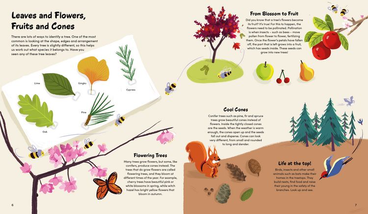 Produktbild: The Little Book of Trees