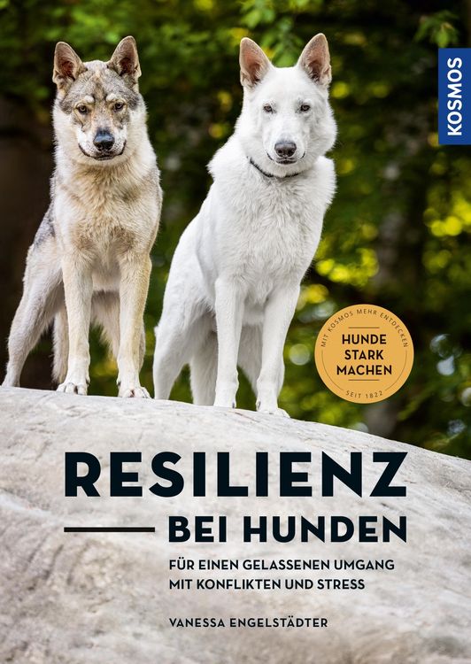 Produktbild: Resilienz bei Hunden
