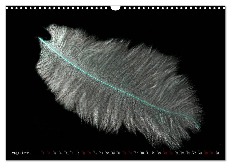 Produktbild: Federleichte Momente (Wandkalender 2026 DIN A3 quer), CALVENDO Monatskalender