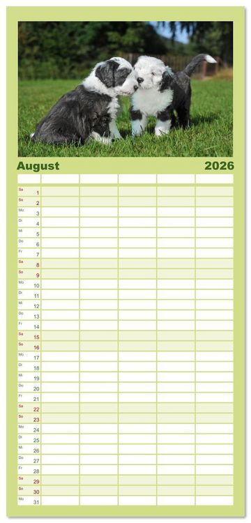 Produktbild: Familienplaner 2026 - In der Kinderstube bei Familie Bobtail mit 5 Spalten (Wandkalender, 21 x 45 cm) CALVENDO