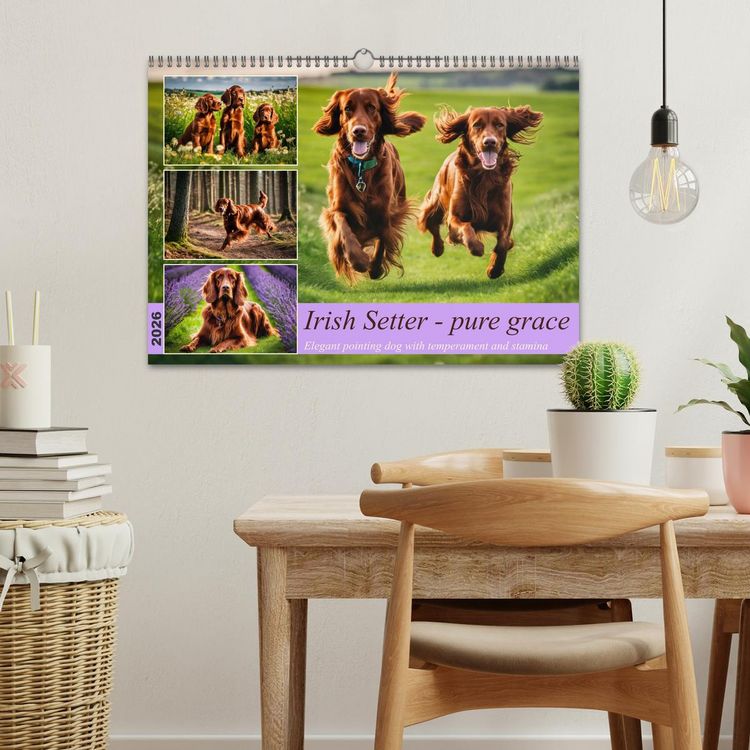Produktbild: Irish Setter - pure grace (Wall Calendar 2026 DIN A3 landscape), CALVENDO 12 Month Wall Calendar