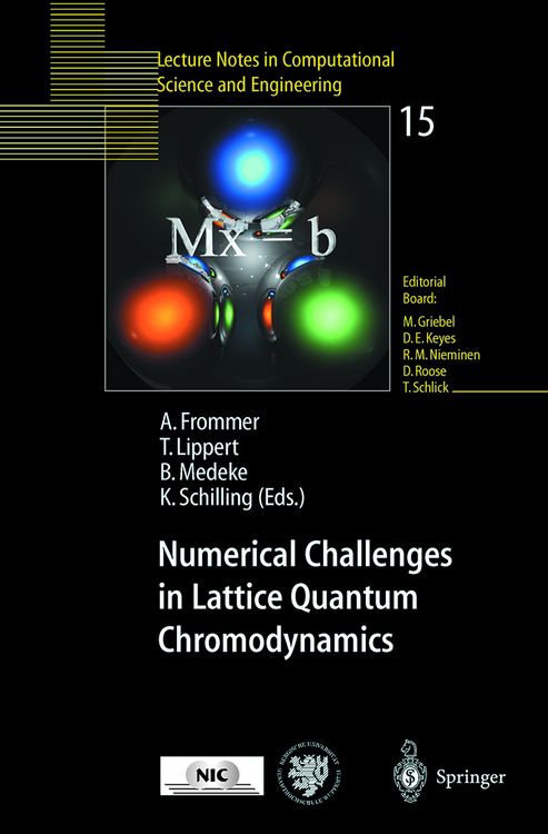 Produktbild: Numerical Challenges in Lattice Quantum Chromodynamics