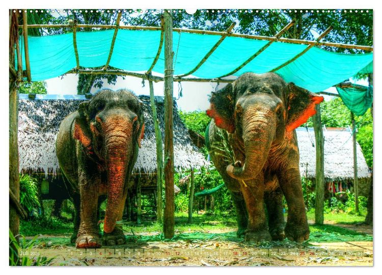 Produktbild: Thailands S&uuml;den (Wandkalender 2026 DIN A2 quer), CALVENDO Monatskalender