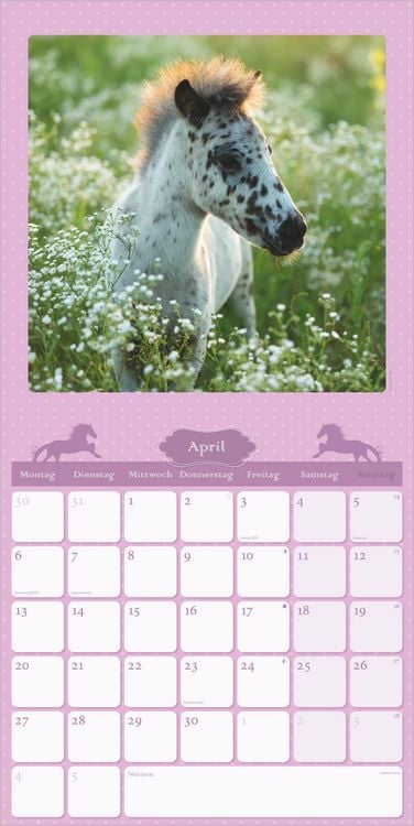 Produktbild: Mein Pferdekalender 2027