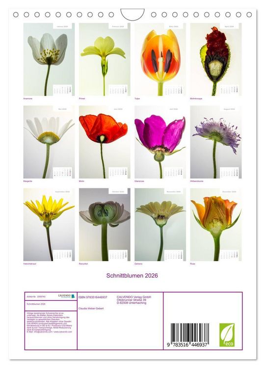Produktbild: Schnittblumen 2026 (Wandkalender 2026 DIN A4 hoch), CALVENDO Monatskalender
