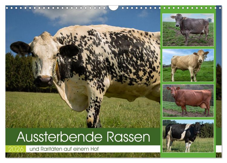 Produktbild: Aussterbende Rassen und Rarit&auml;ten (Wandkalender 2026 DIN A3 quer), CALVENDO Monatskalender