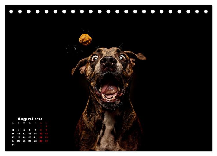 Produktbild: Leckerchen! (Tischkalender 2026 DIN A5 quer), CALVENDO Monatskalender