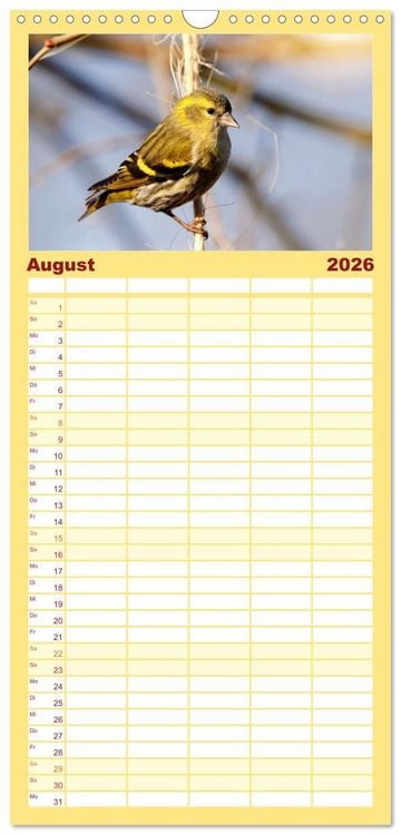 Produktbild: Familienplaner 2026 - Erlenzeisige mit 5 Spalten (Wandkalender, 21 x 45 cm) CALVENDO