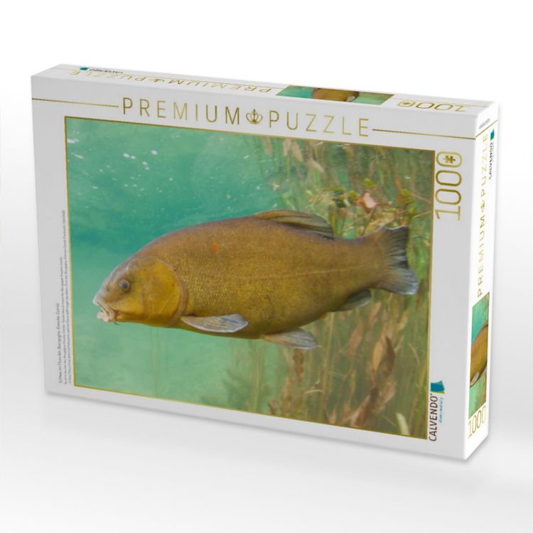 Produktbild: CALVENDO Puzzle Schleie im Fluss Ain, Bourgogne-Franche-Comt&eacute; | 1000 Teile Lege-Gr&ouml;&szlig;e 64x48cm Foto-Puzzle f&uuml;r gl&uuml;ckliche Stunden