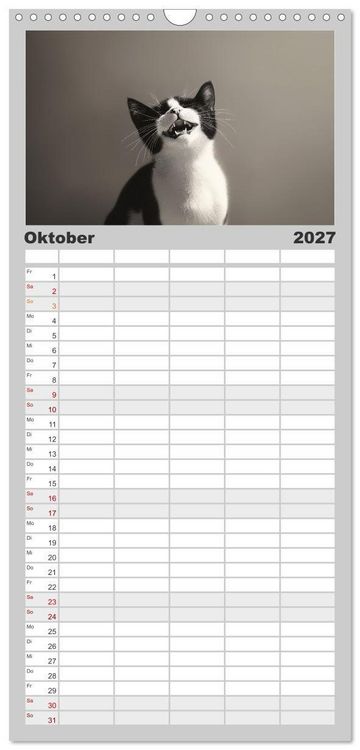 Produktbild: Familienplaner 2027 - Auch Katzen lachen gern mit 5 Spalten (Wandkalender, 21 x 45 cm) CALVENDO