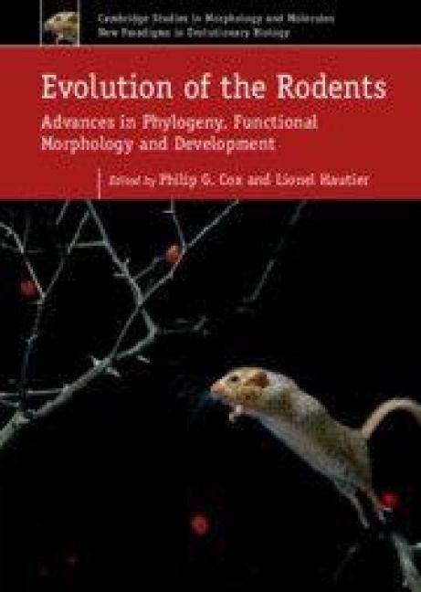 Produktbild: Evolution of the Rodents: Volume 5