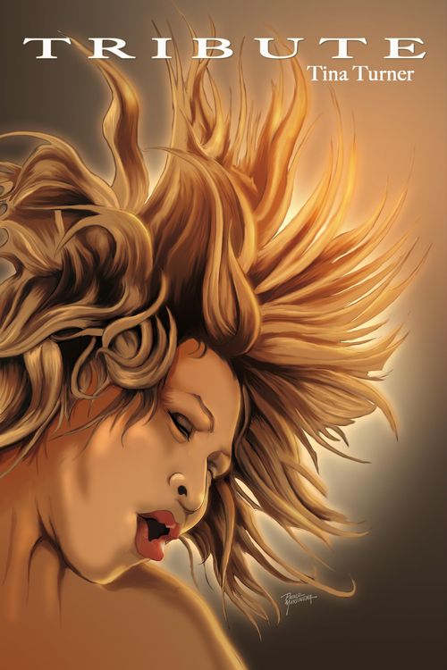 Produktbild: Tribute: Tina Turner
