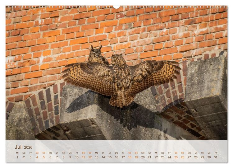 Produktbild: Uhu Highlights (Wandkalender 2026 DIN A2 quer), CALVENDO Monatskalender