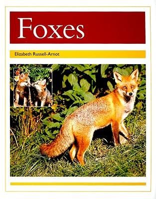 Produktbild: Foxes