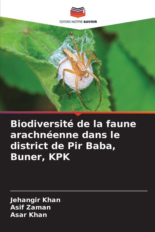 Produktbild: Biodiversit&eacute; de la faune arachn&eacute;enne dans le district de Pir Baba, Buner, KPK
