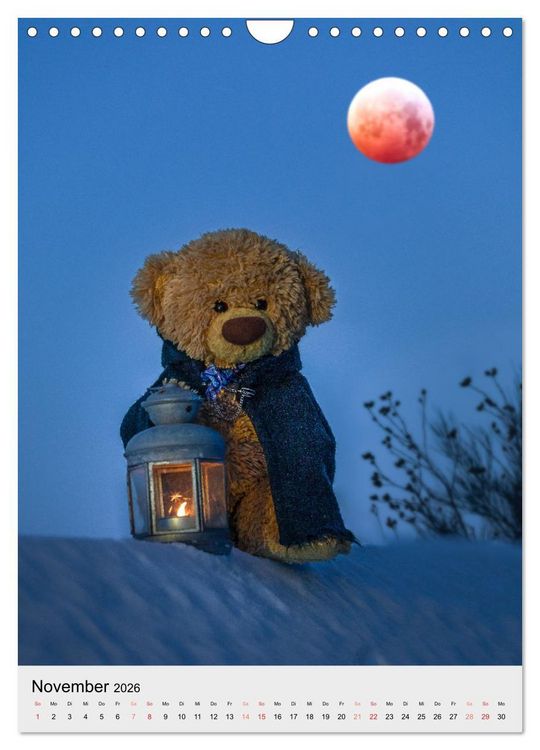 Produktbild: Travelling Teddy liebt es Bunt (Wandkalender 2026 DIN A4 hoch), CALVENDO Monatskalender