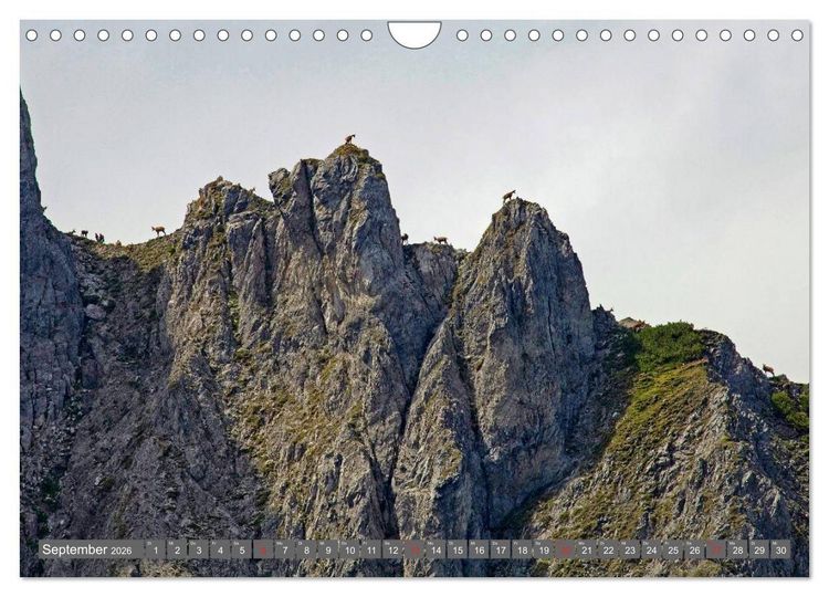 Produktbild: Waidmannsheil und Waidmannsdank (Wandkalender 2026 DIN A4 quer), CALVENDO Monatskalender