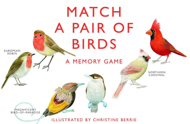 Produktbild: Match a pair of birds