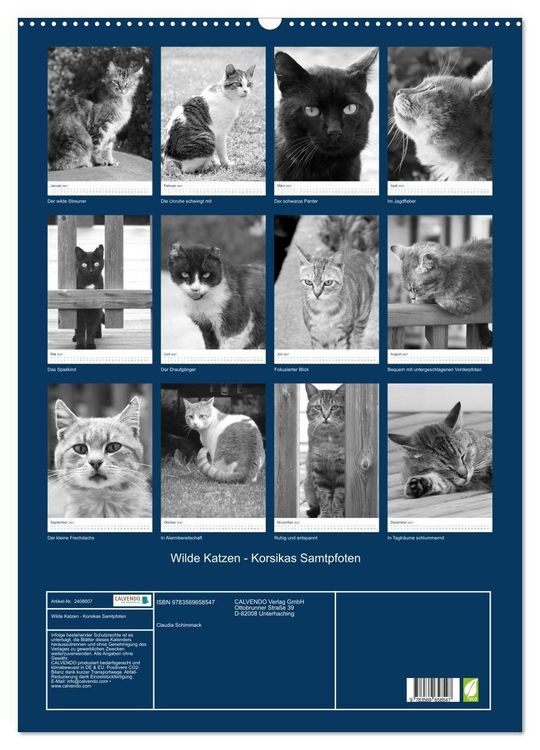 Produktbild: Wilde Katzen - Korsikas Samtpfoten (Wandkalender 2027 DIN A2 hoch), CALVENDO Monatskalender
