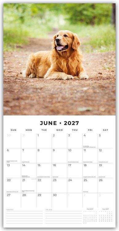 Produktbild: Golden Retrievers &ndash; Golden Retriever 2027 &ndash; 16-Monatskalender