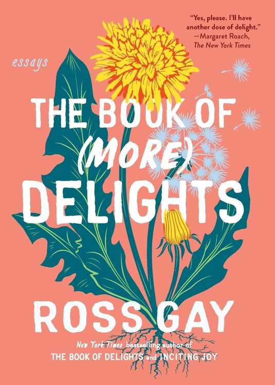 Produktbild: The Book of (More) Delights