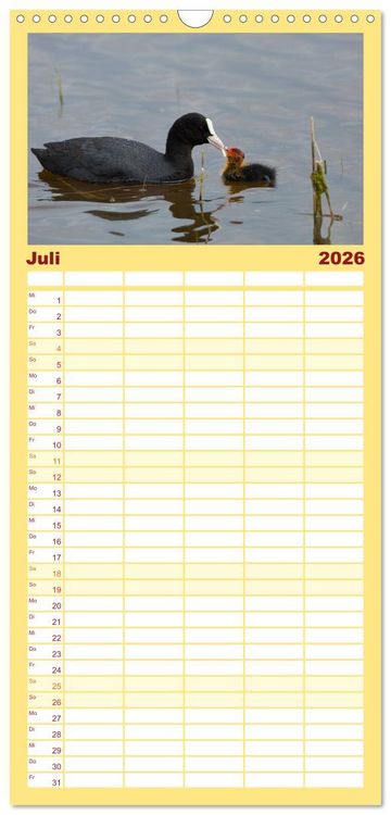 Produktbild: Familienplaner 2026 - Tierbabys 2026 mit 5 Spalten (Wandkalender, 21 x 45 cm) CALVENDO