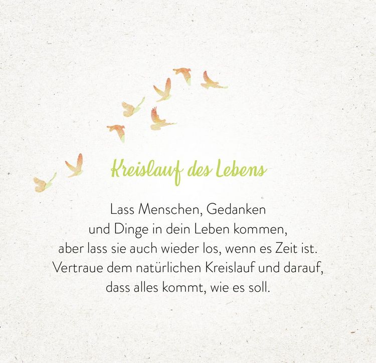 Produktbild: 365 Inspirationen aus der Natur