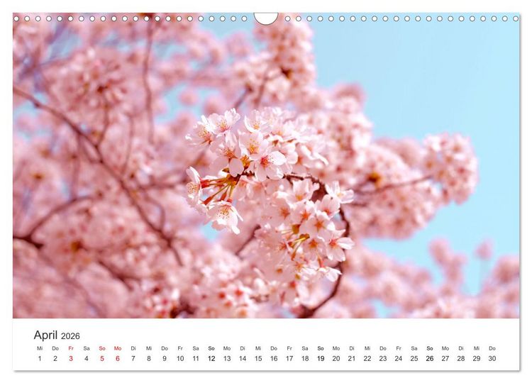 Produktbild: Japan - Land der Kontraste (Wandkalender 2026 DIN A3 quer), CALVENDO Monatskalender