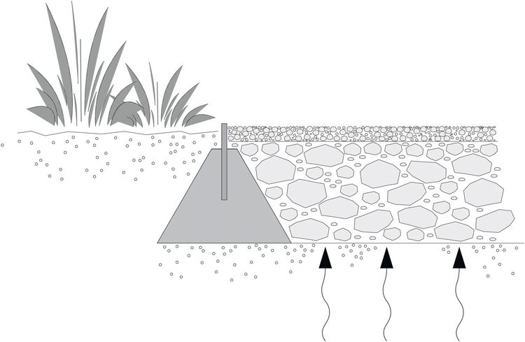 Produktbild: Junges Gartendesign