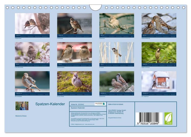 Produktbild: Spatzen-Kalender (Wandkalender 2026 DIN A4 quer), CALVENDO Monatskalender