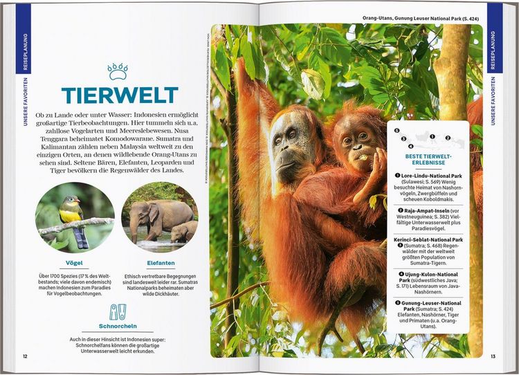 Produktbild: Reisef&uuml;hrer Indonesien